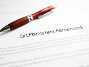 Florida Pet Laws: A Comprehensive Guide for Pet Owners