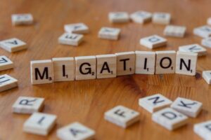 Transitioning From OPT to H-1B Status: Timeline and Tips